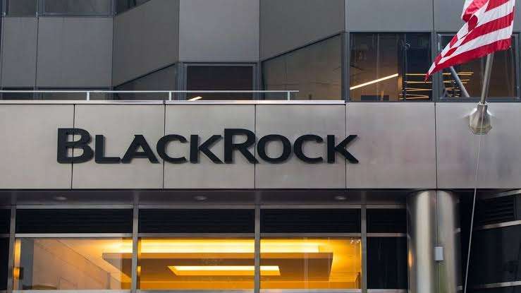 BlackRock gets Memecoins, NFTs with $100M Deposit