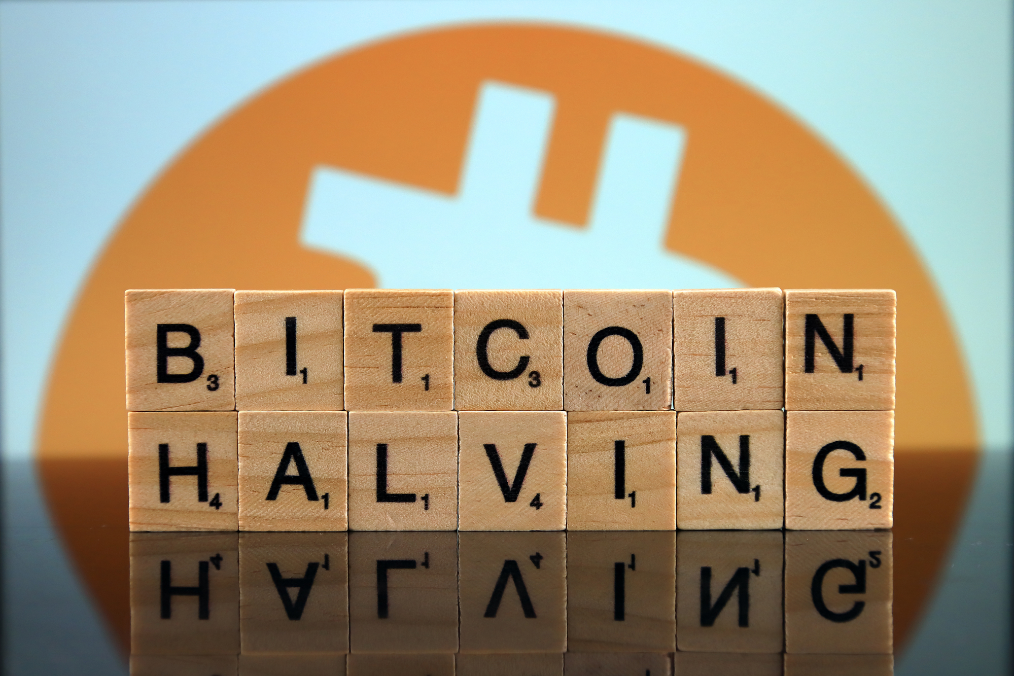Google Searches for Bitcoin Halving Break May 2020 Record