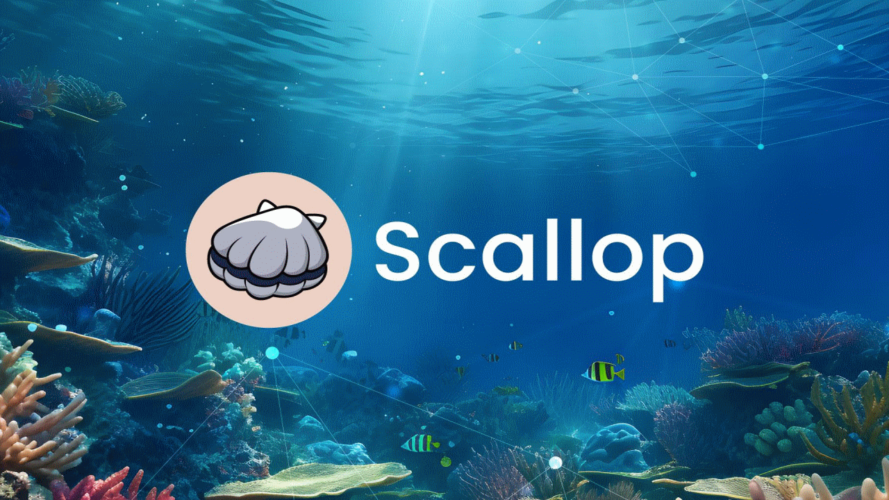 Scallop Protocol Enhances DeFi within Sui Blockchain