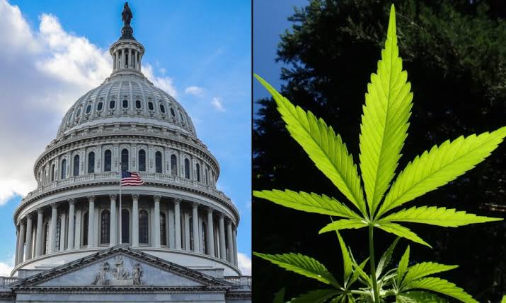 House Republican Proposes Marijuana Stablecoin Bill