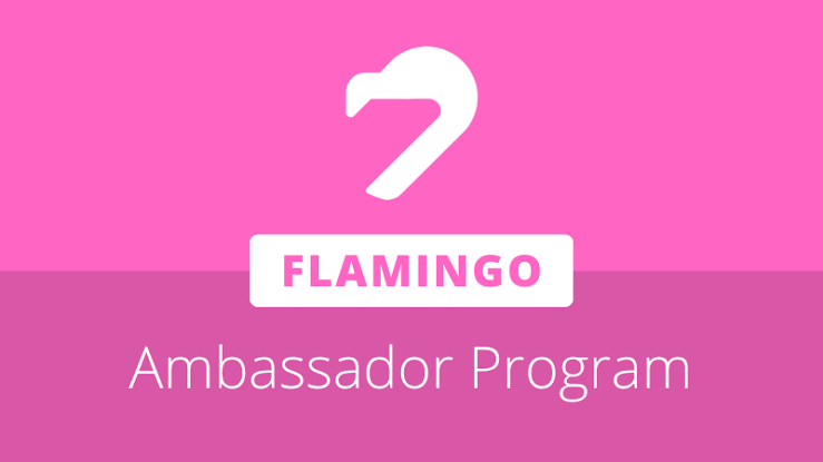 Flamingo Finance Relaunches Ambassador Program