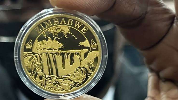 Zimbabwe Adopts Gold-Backed ZiG Currency