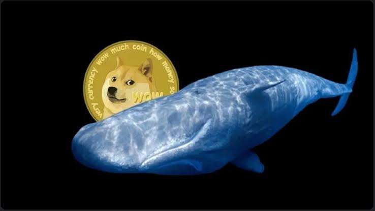Dogecoin To Hit $1 as Whale Buys 200M DOGE