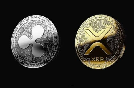 Ripple Teams Up with HashKey DX for XRPL Solutions