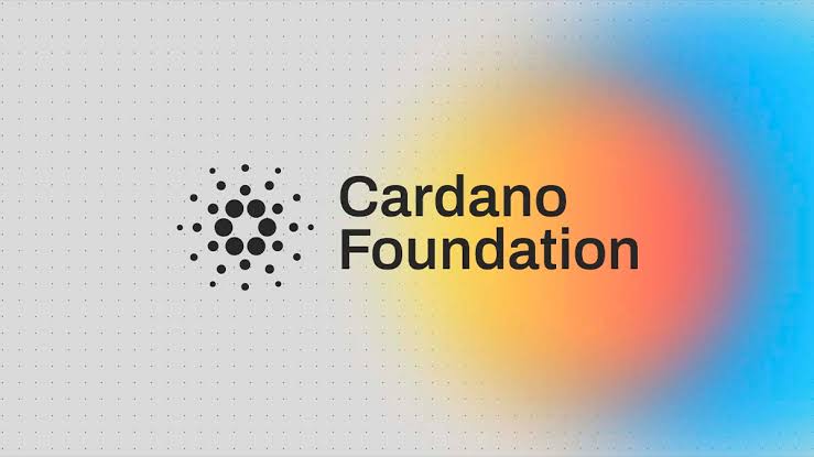 Cardano CEO Reveals New Interim Constitution