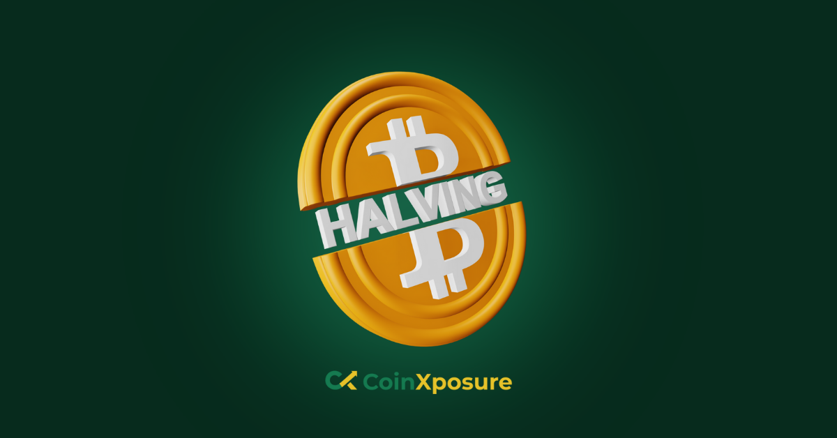 A Comprehensive Guide to Bitcoin Halving: Why, How, and Importance