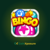 Engaging Themes, Rooms, and Designs: A Deep Dive into Top Bingo Sites