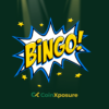 Predictions - The Future Growth and Trends in Online Bingo Gaming