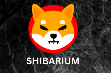 Shibarium Debuts ShibaSwap 2.0, Sparks SHIB Community Interest 