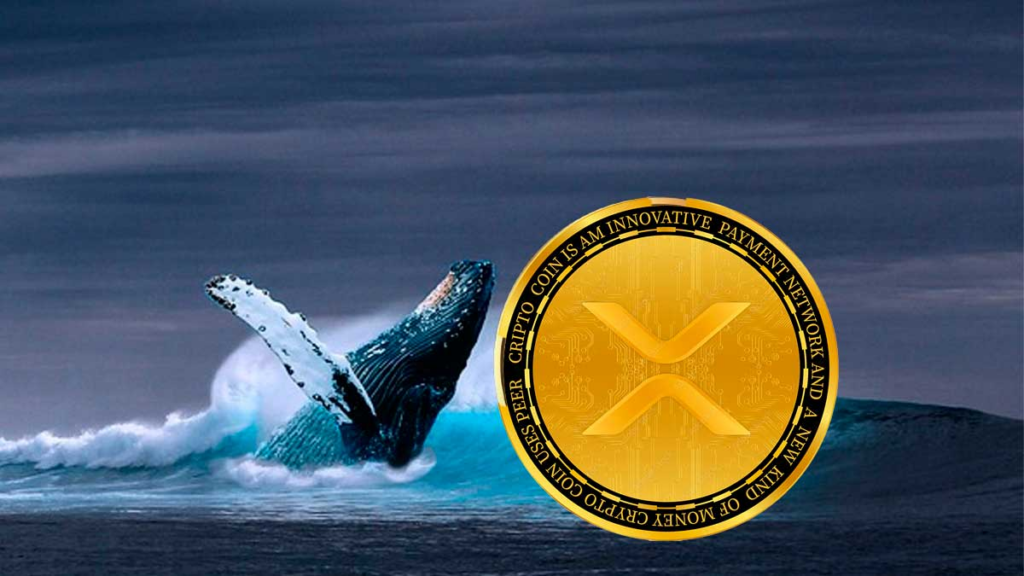 Ripple (XRP) Whale Transfers 31 Million XRP to Major Exchange