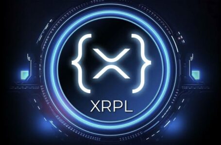 XRPL Transactions Surge 108% in Q1 2024