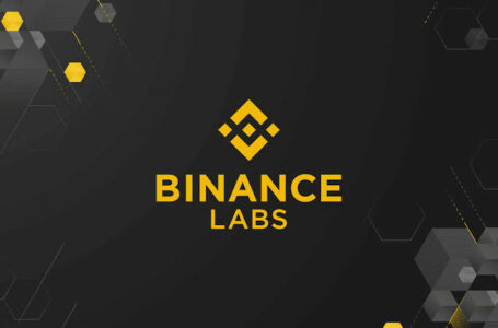 Binance Labs Backs Movement Labs' Blockchain Innovation