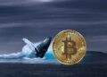 Bitcoin whale accumulation echoes 2020