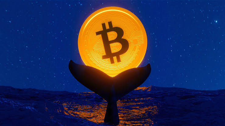 Bitcoin whales Move $61M in BTC After 10 Years of Dormancy